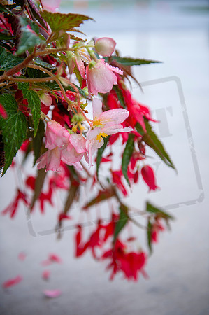 MEG_7215