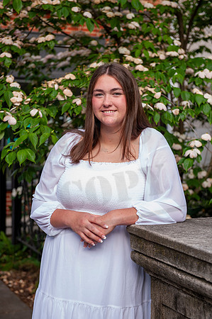 MEG_3391