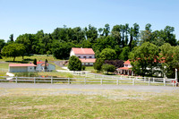 Hoffman 016