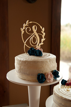 Swartz Wedding 010
