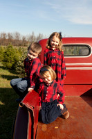 Martin  Red Truck 20